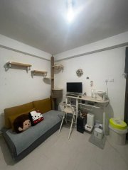 天水圍村屋 元朗 G004024 售盤