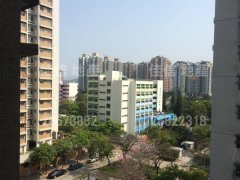 八號花園 大埔 中層 F042140 售盤