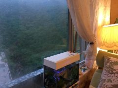 瓊麗苑 牛池灣 高層 G086136 售盤