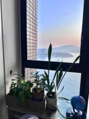 縉皇居 荃灣 高層 C026094 售盤