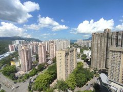 太和村 大埔 高層 R165495 售盤