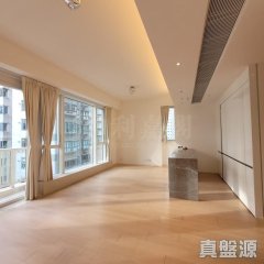 敦皓 西半山 低層 1835696 售盤