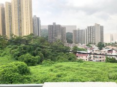 石古壟村**全棟** 沙田 低層 T001035 售盤