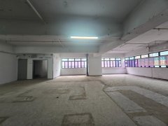 RILEY HSE