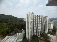 美城苑 沙田 高層 T183591 售盤