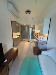 NOVO LAND PH 02A 屯门 中层 T011553 售盘