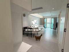 蘆慈田 大埔 中層 S009516 售盤