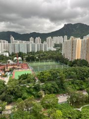 東頭村 九龍城 高層 T126372 售盤