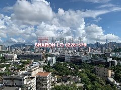 畢架山一號 九龍塘 高層 K129852 售盤