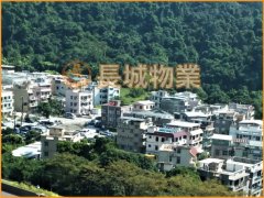 鳳園老圍 大埔 地下 A000790 售盤