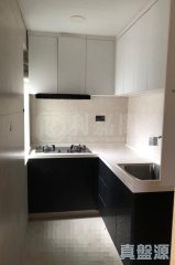 維也納花園 粉嶺 頂層 1810316 售盤