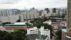 新麗花園 牛池灣 高層 L004711 售盤