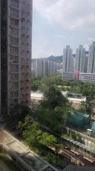 宝湖花园 大埔 中层 T091234 售盘