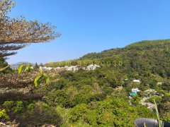 山頂花園 大埔 全幢 G127638 售盤
