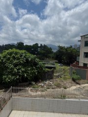 鳳園 大埔 中層 1845414 售盤