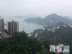 蔚峰園 淺水灣 中層 1829540 售盤