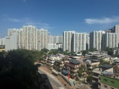 显径村 沙田 T015347 售盘