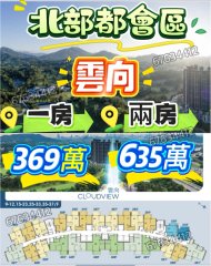 雲向 上水 1818658 售盤