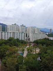 翠屏花園 大埔 中層 1844454 售盤