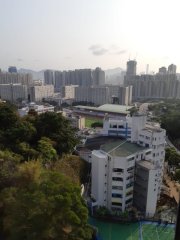 新丽花园 牛池湾 高层 D132746 售盘