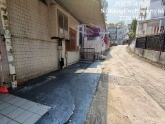 西沙路*地下連花園*車泊門口 西貢 地下 033048 售盤