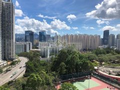 彩兴苑 牛池湾 中层 R156606 售盘
