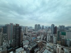 陶源 九龍塘 高層 K129005 售盤