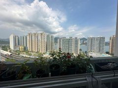 錦駿苑 馬鞍山 T182913 售盤