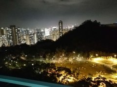 峻弦 牛池湾 中层 F116274 售盘