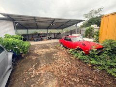 2000呎上蓋+2000呎吉地可泊車 元朗 地下 M180933 售盤
