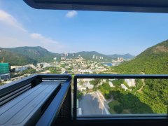 海盈山 黃竹坑 低層 1847478 售盤