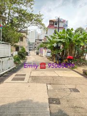 小瀝源村 沙田 全層 H177909 售盤