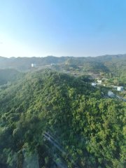 浪翠園 荃灣 高層 B046252 售盤
