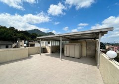 元朗村屋 元朗 三樓連天台 G014458 售盤