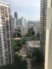 東頭村 九龍城 高層 H172684 售盤
