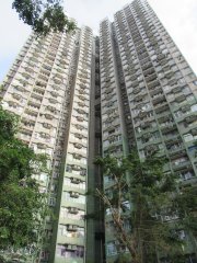 華貴村 薄扶林 中層 A027640 售盤