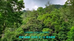 毕架山花园 第04座