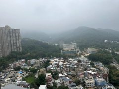 綠怡雅苑 沙田 高層 S032749 售盤