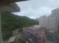 景林村 將軍澳 高層 F185112 售盤