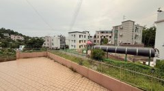 汀角路 大埔 中層 B001648 售盤