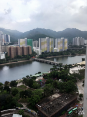 好運中心 沙田 高層 1846234 售盤