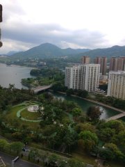 明雅苑 大埔 高層 R134282 售盤