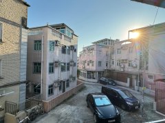 布心排 大埔 中層 1800010 售盤