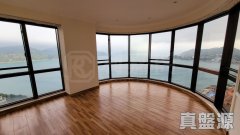 浪琴園 大潭 高層 1833194 售盤