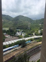 顯徑村 沙田 高層 T034226 售盤