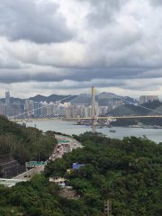 碧堤半島 荃灣 C028485 售盤