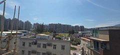 新围仔 大埔 高层 1822794 售盘