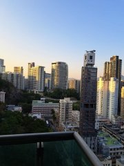 星灣峰 筲箕灣 高層 S068761 售盤