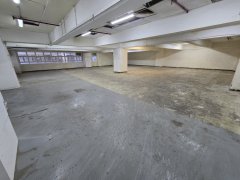 Golden Bear Industrial Centre Tsuen Wan industrial for rent 4,111 sq.ft. | Regent