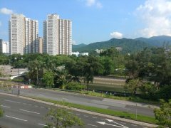 大埔中心 大埔 低層 G014097 售盤